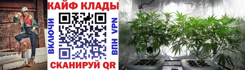 Все наркотики Аргун Амфетамин  Кодеин  COCAIN 