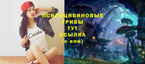 кокс Алзамай